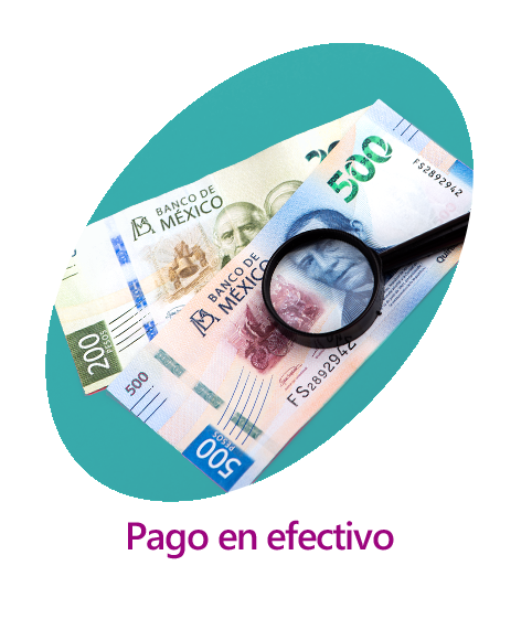 cotizar quálitas autos